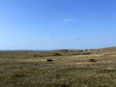 Прикрепленное изображение: DSCF5762.jpg